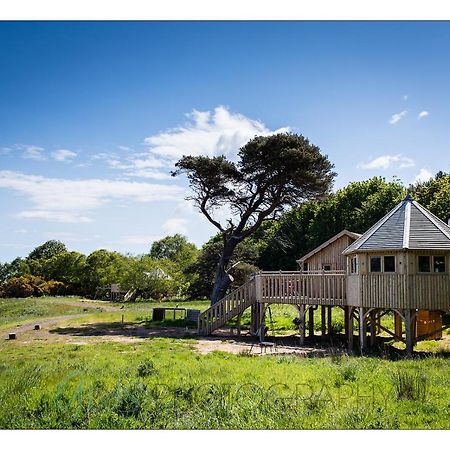 Villa Harvest Moon Treehouse à Dunbar Extérieur photo